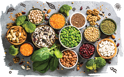 What are Complementary Plant Proteins? – KOS.com