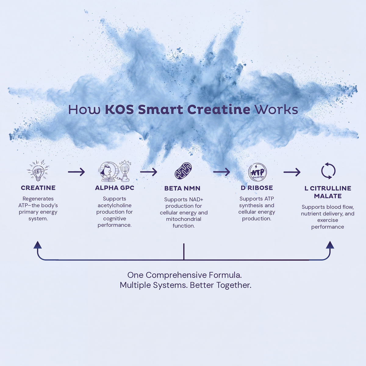 Smart Creatine