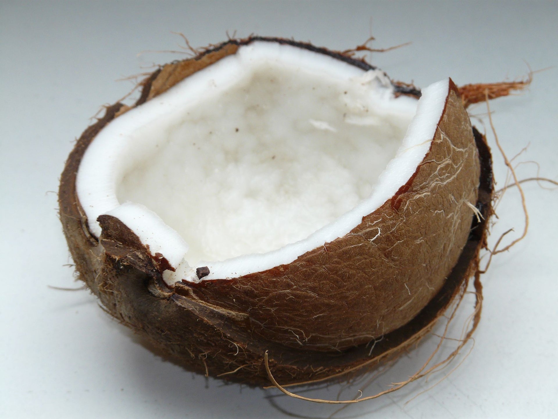 COCONUT MILK POWDER : YOUR METABOLIC TROPICAL STAYCATION