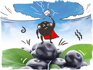 Purple Plant Powerhouse