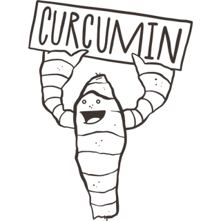 Curcumin:<br/>Free Radical Fighter