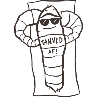 Ginger:<br/>A Spice Of Life