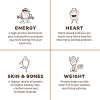 KOS Organic Plant Protein, Chocolate, 12 Count