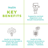 Organic Inulin Powder