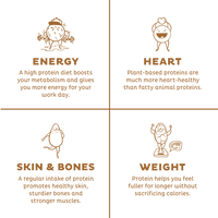 KOS Organic Plant Protein, Vanilla, 12 Count